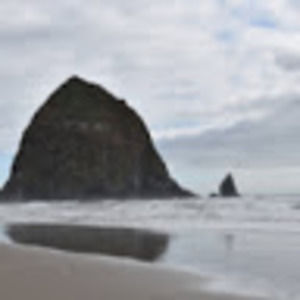 Meet your Posher, Ariel